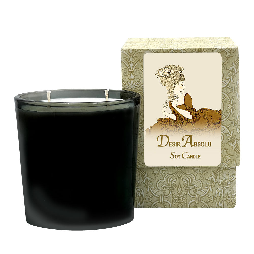 Desir Absolu Medium Candle (60 to 70 hours Burning Time)